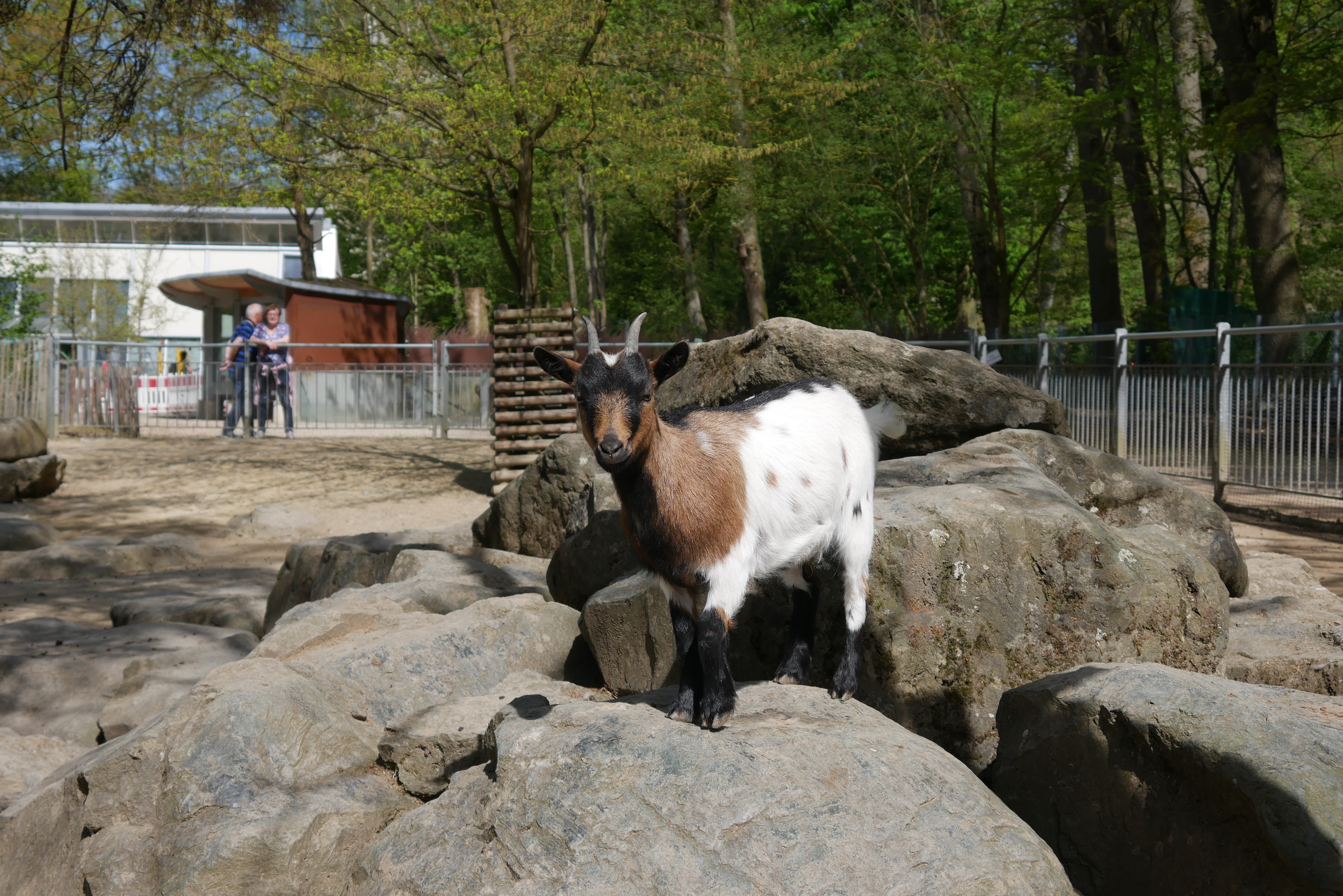 Zoologischer Garten Hof Impression