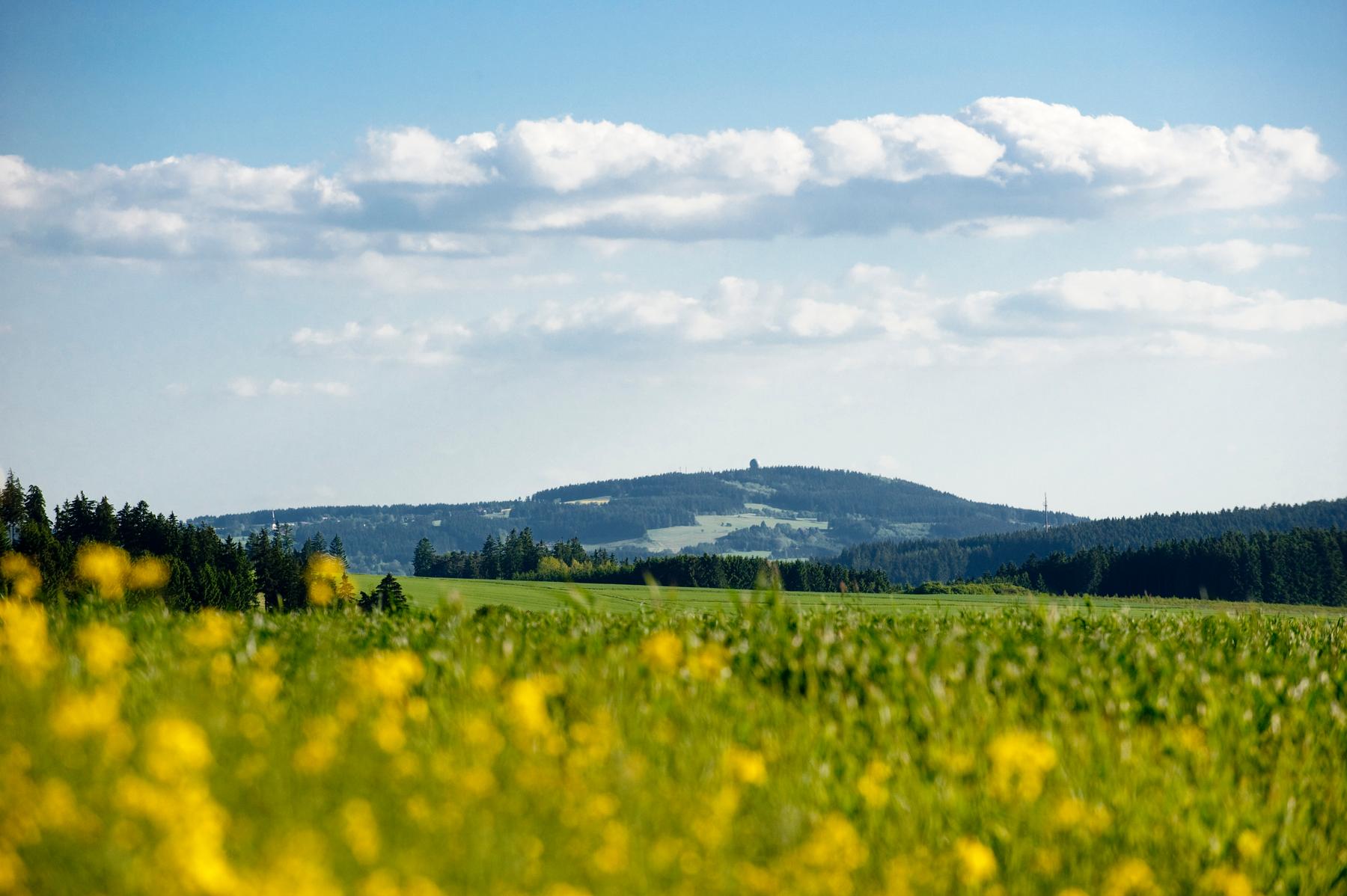 Döbraberg & Prinz-Luitpold-Turm Impression