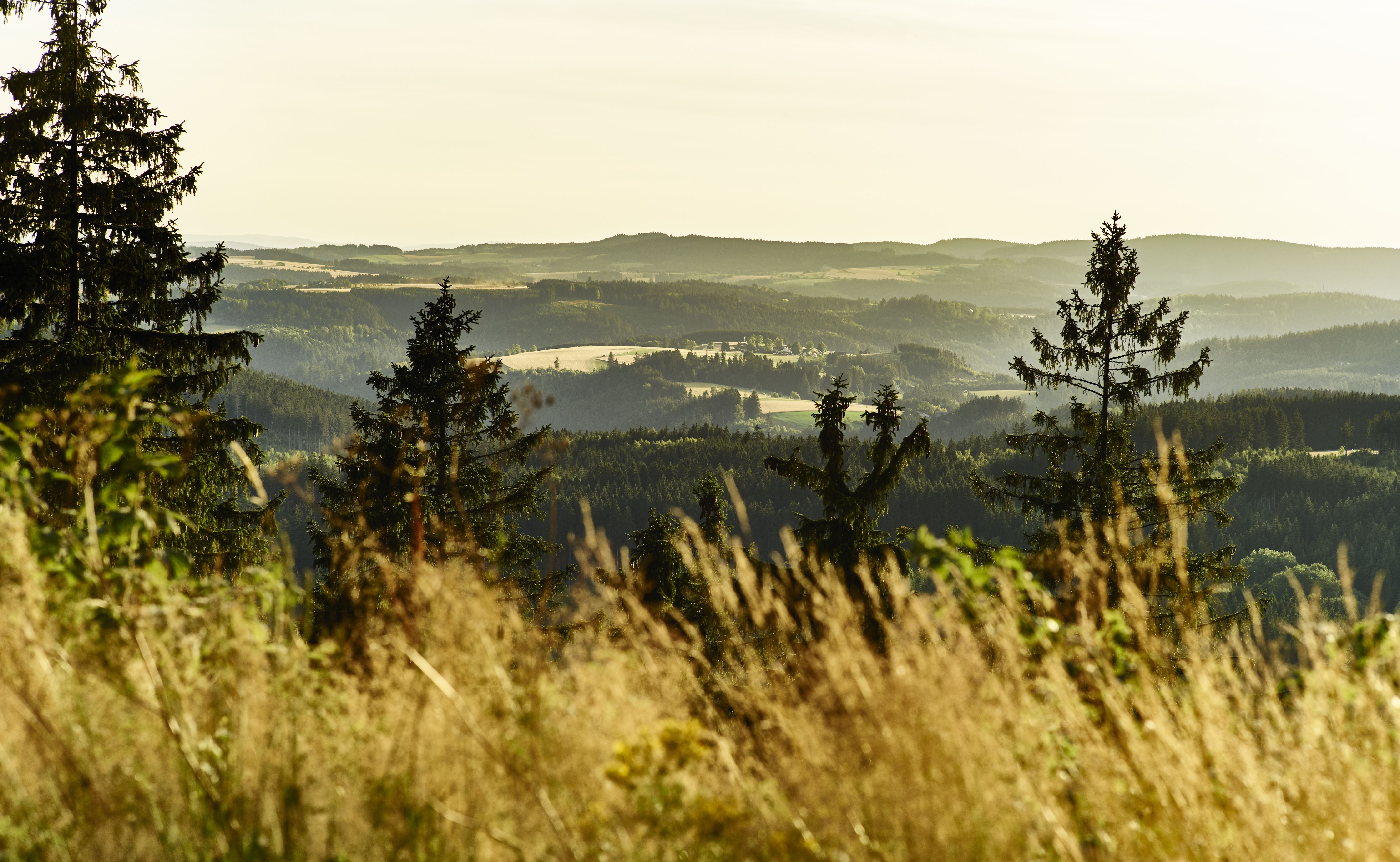 Blick über den Frankenwald